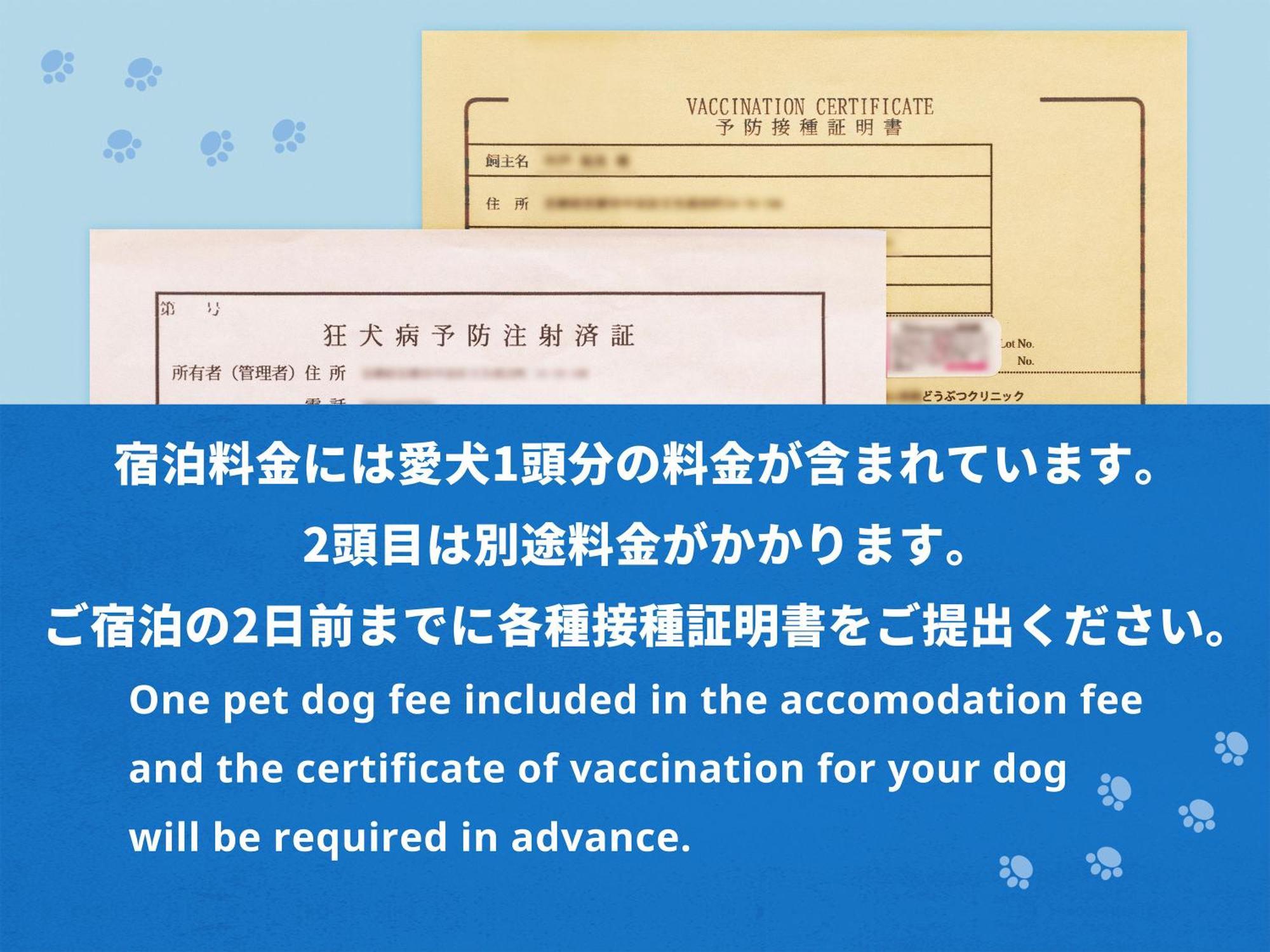 Hotel Anddoggy Kyoto Nijo 客房 照片