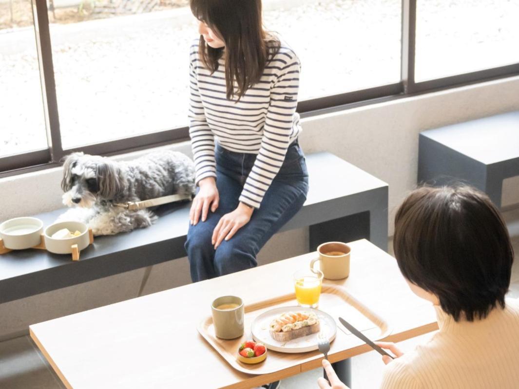 Hotel Anddoggy Kyoto Nijo 外观 照片