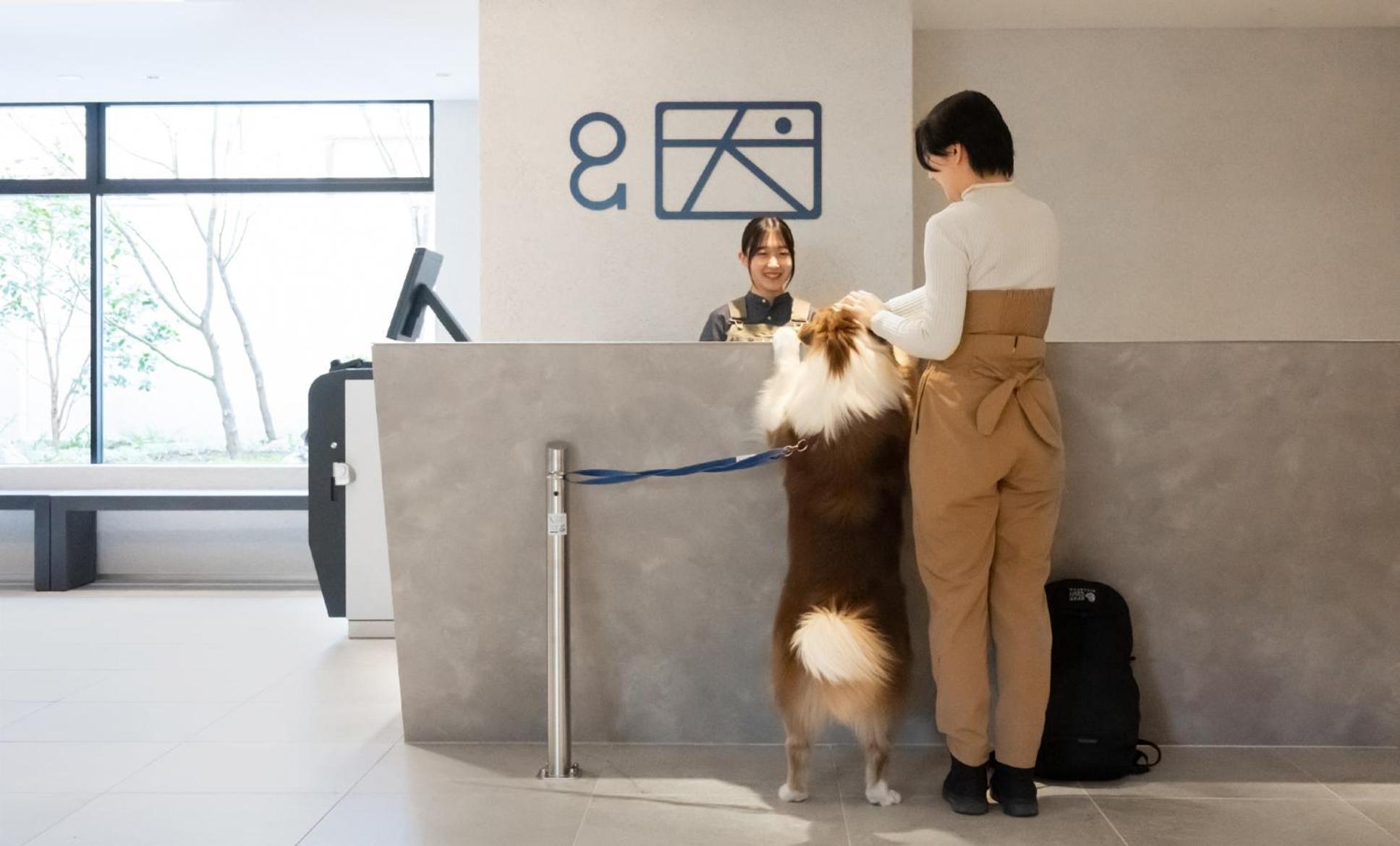Hotel Anddoggy Kyoto Nijo 外观 照片