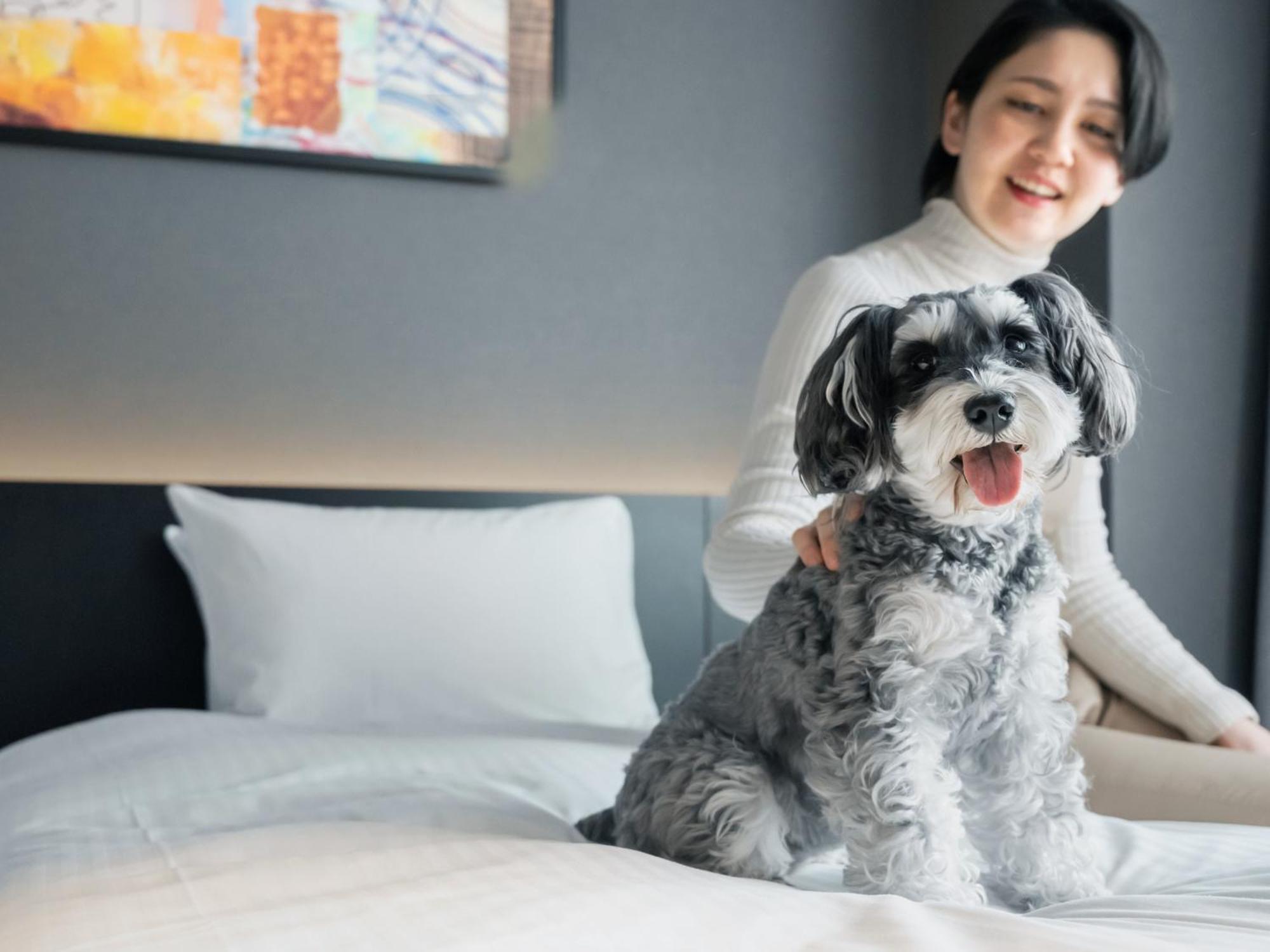 Hotel Anddoggy Kyoto Nijo 外观 照片