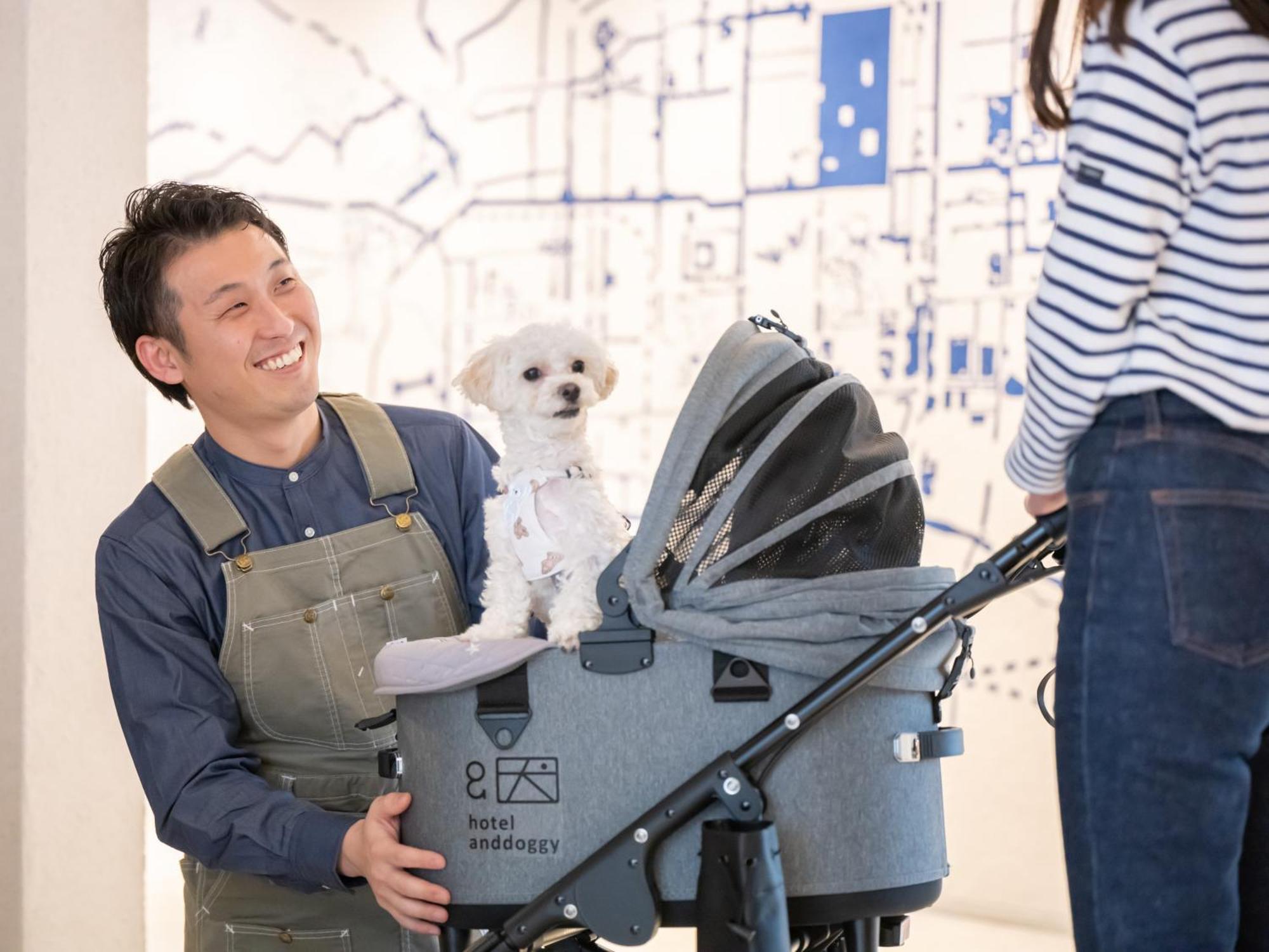 Hotel Anddoggy Kyoto Nijo 外观 照片