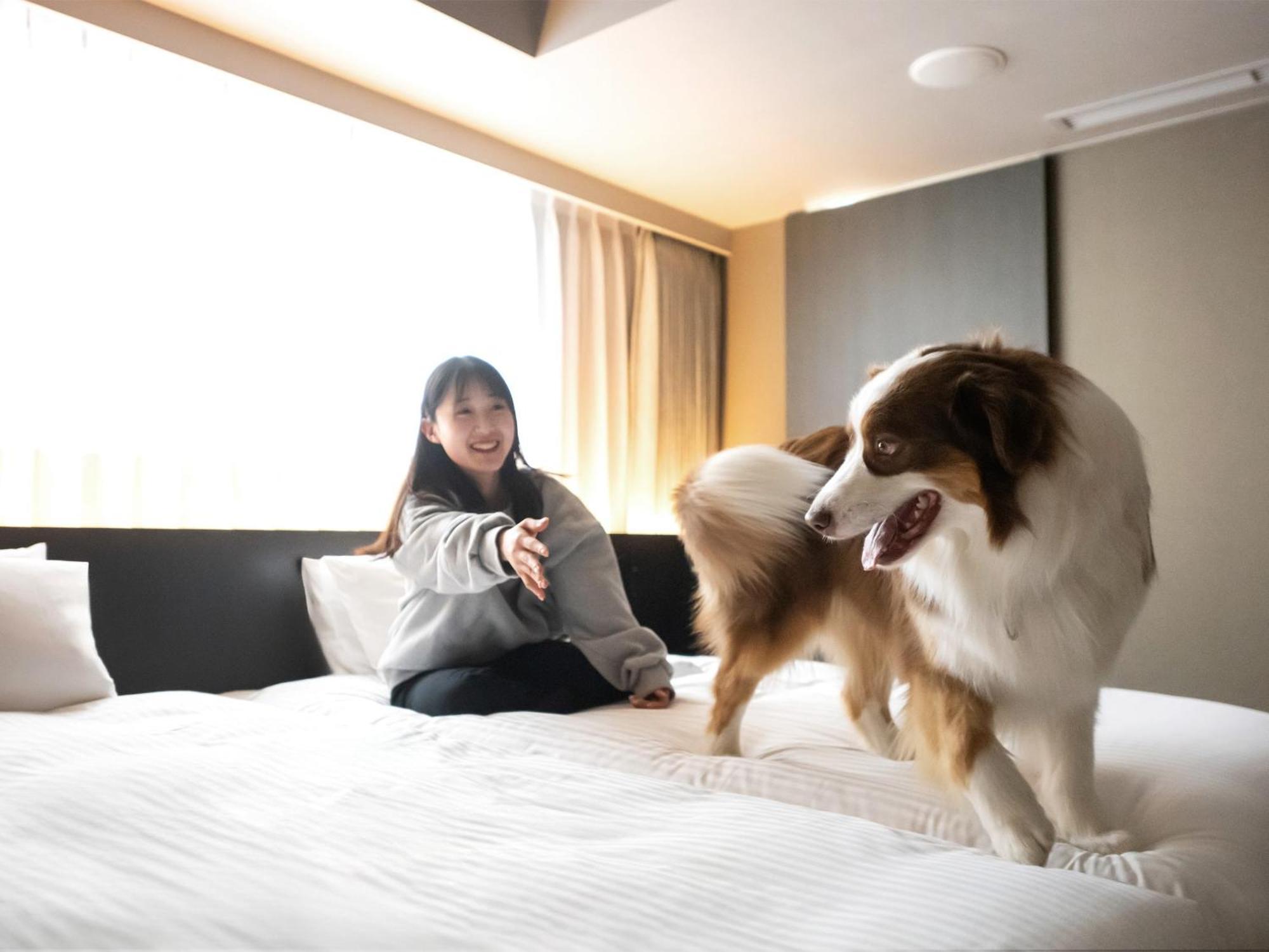 Hotel Anddoggy Kyoto Nijo 外观 照片